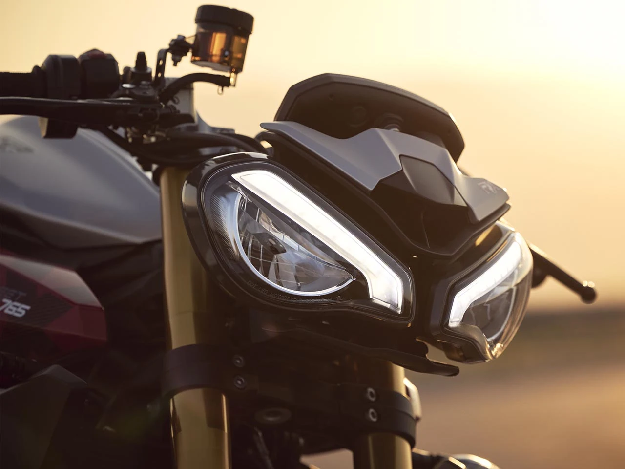 Triumph revela edições especiais