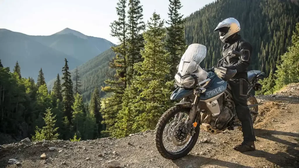 Triumph Tiger 800 segue como uma big trail muito valorizada no Brasil.
